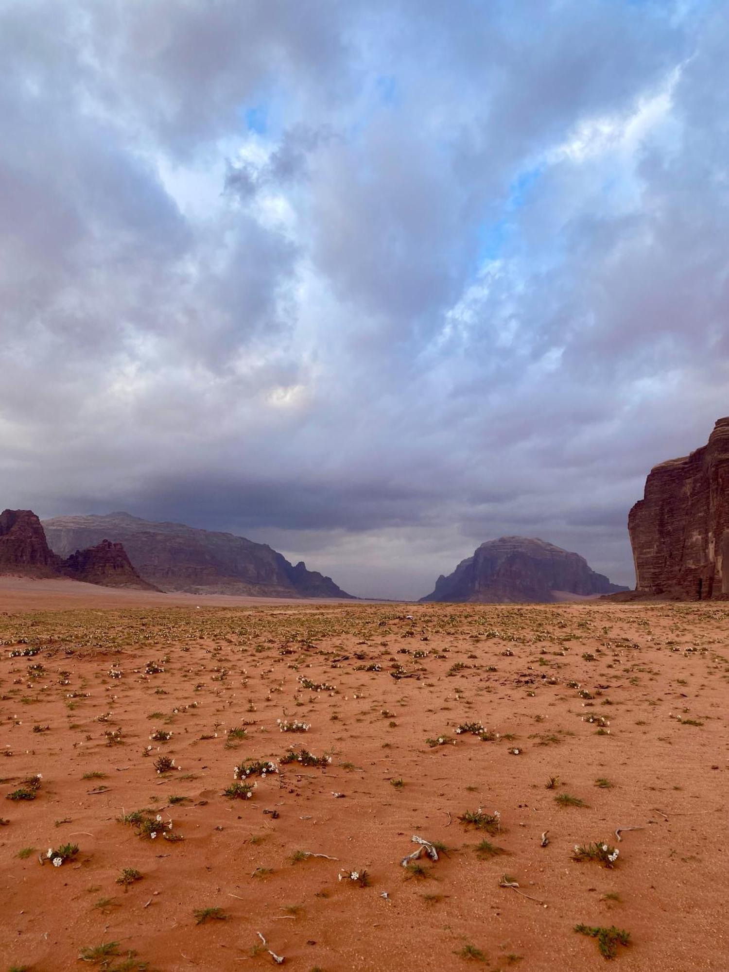 Glamp Camp Wadi Rum Buitenkant foto